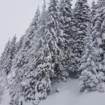 Jugendskiausfahrt 2019